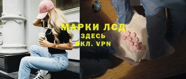 ПСИЛОЦИБИНОВЫЕ ГРИБЫ Арсеньев