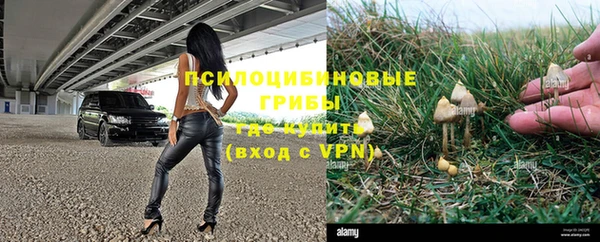 ПСИЛОЦИБИНОВЫЕ ГРИБЫ Арсеньев