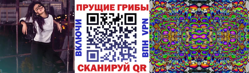 Псилоцибиновые грибы MAGIC MUSHROOMS  купить наркотик  Окуловка 